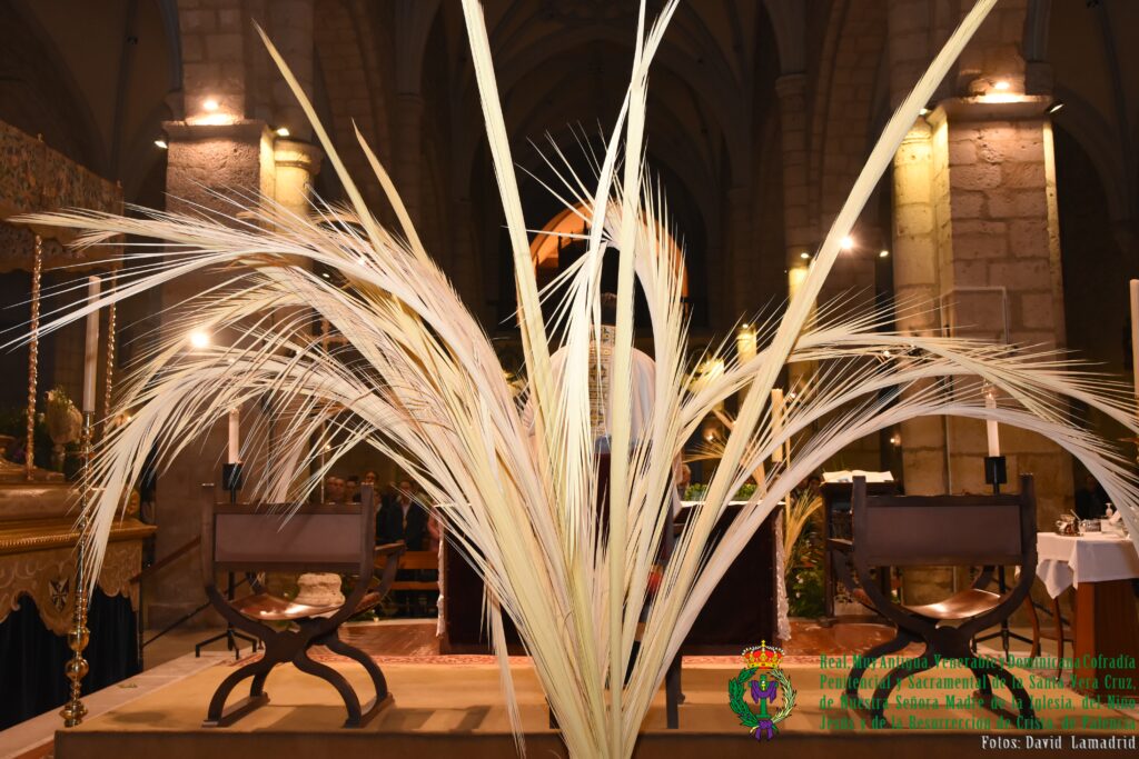 Invención 2025. Foto, David Lamadrid_9